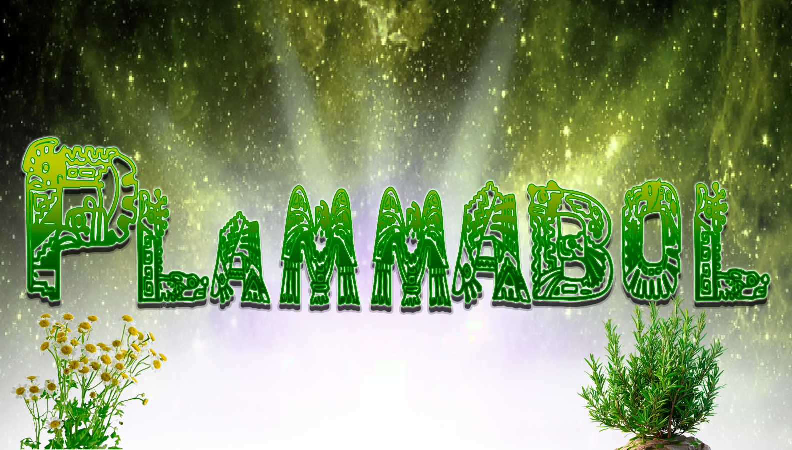 A screenshot of https://plammabol.com/